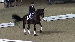 Steffen Peters